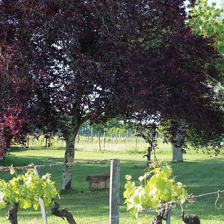 La Vigneraie De Laura Bed and Breakfast Sainte-Colombe  Exteriör bild